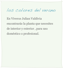 los colores del verano
En Viveros Julian Valdivia encontrarás la planta que necesites de interior y exterior , para uso doméstico o profesional. 